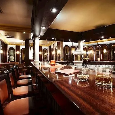 酒店 杜塞尔多夫市郁金香北欧酒店
